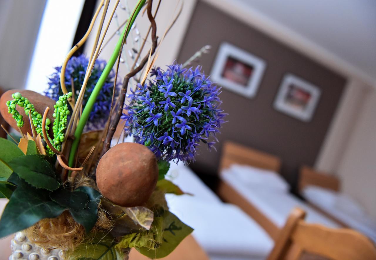 Hostel Milkaza Novi Sad Bagian luar foto